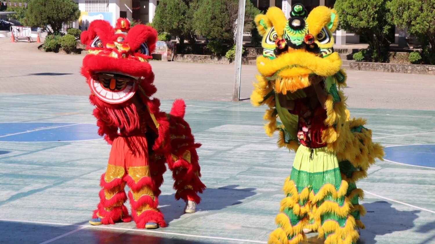 一開始登場的舞龍舞獅表演就讓現場氣氛熱鬧非凡，展現當地文化特色圖片